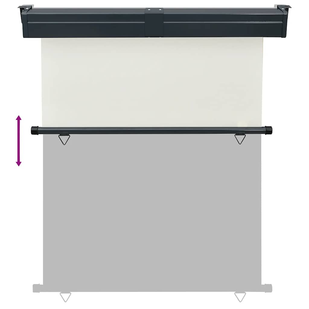 Balkon Seitenmarkise 60 x 250 cm 100% Polyester Eisen Stahl