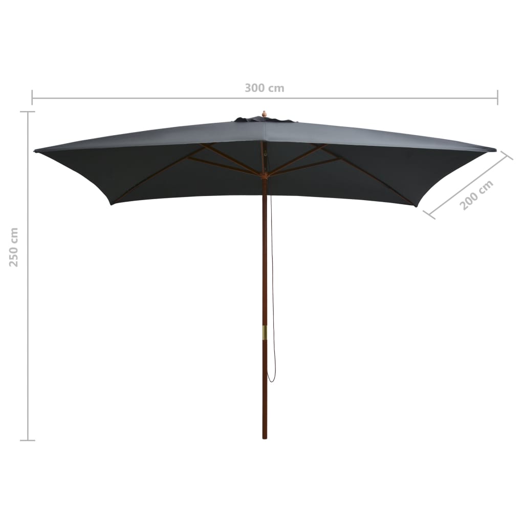 Sonnenschirm mit Holz-Mast 200x300 cm Schwarz