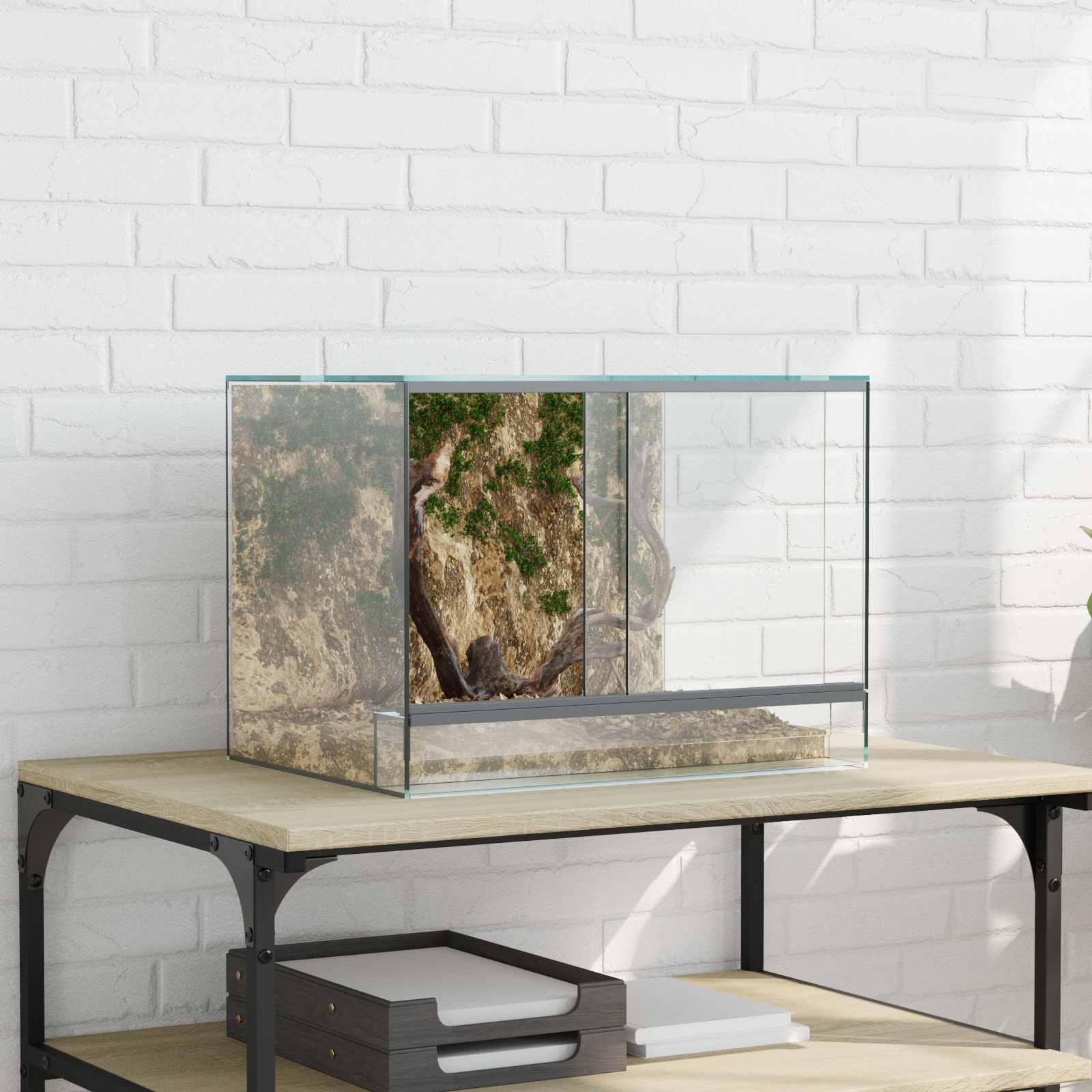 Terrarium mit Speicher Transparent 30 x 30 x 30 cm Glas