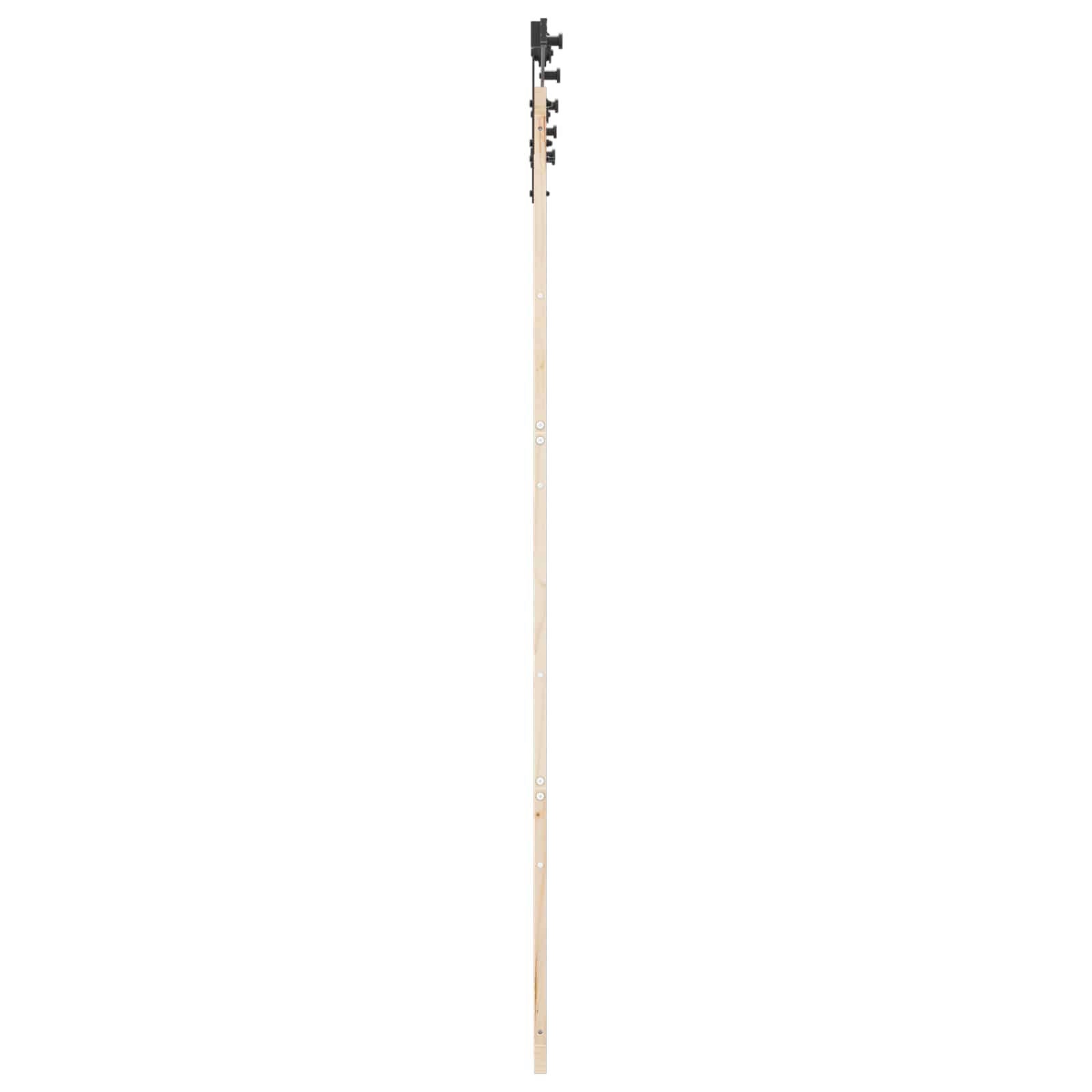 Schiebetür Natur 100 x 208 cm Massives Kiefernholz