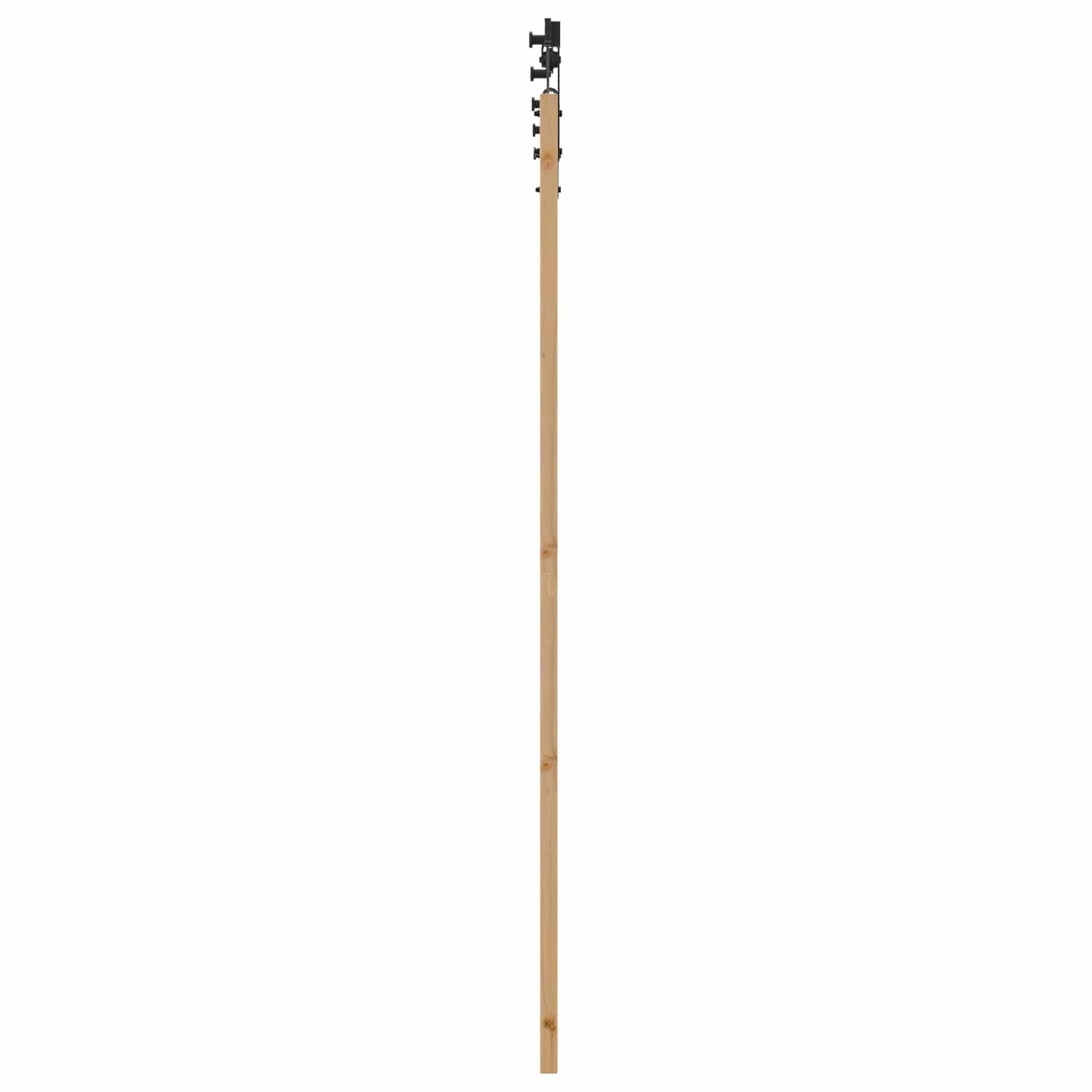 Schiebetür Natürlich und Schwarz 61 x 198,5 cm