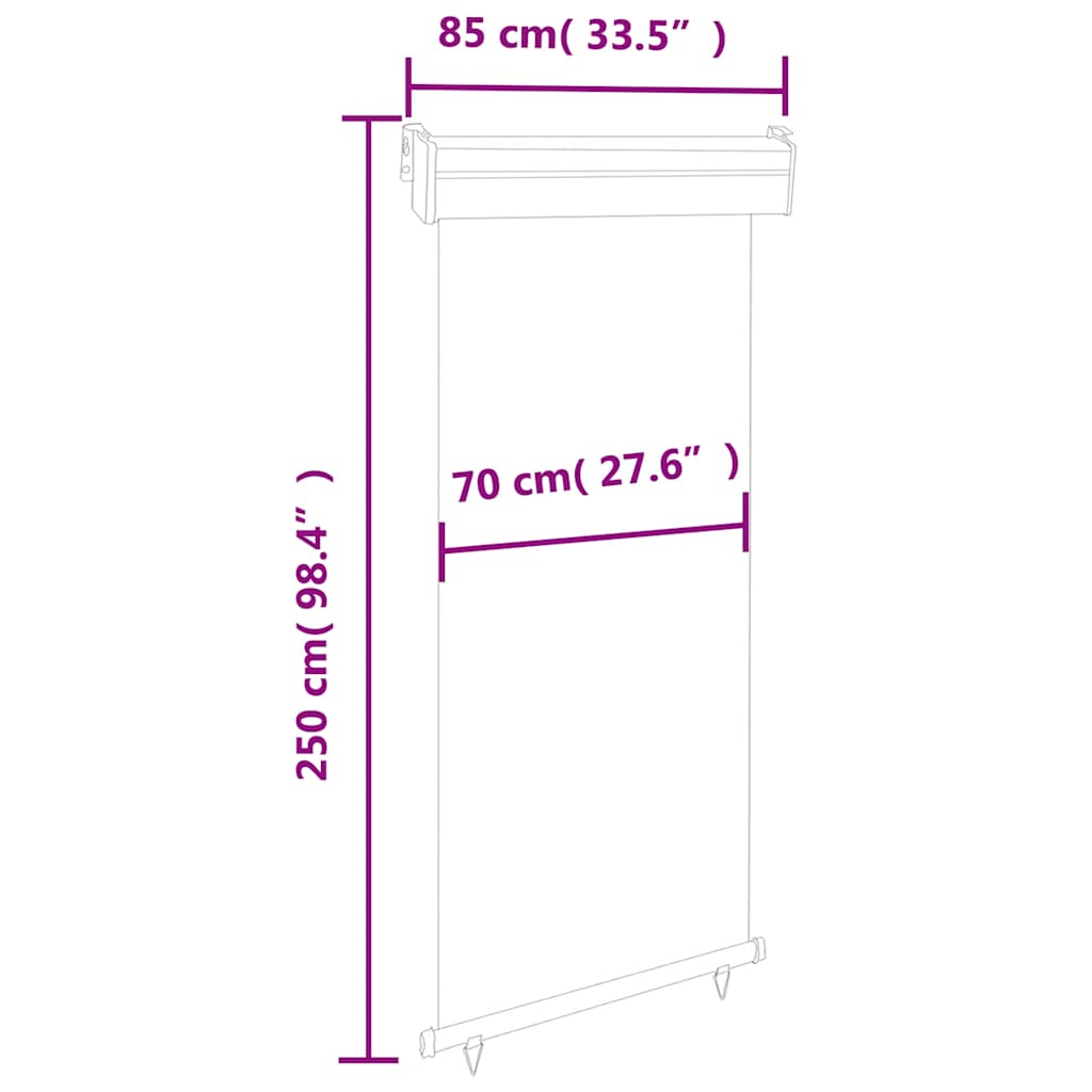 Balkon Seitenmarkise 60 x 250 cm 100% Polyester Eisen Stahl