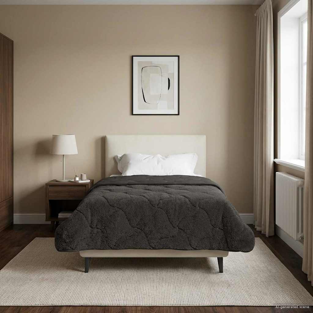 Sommerdecke Anthrazit 135 x 200 cm Mikrofaser und Teddy-Fleece