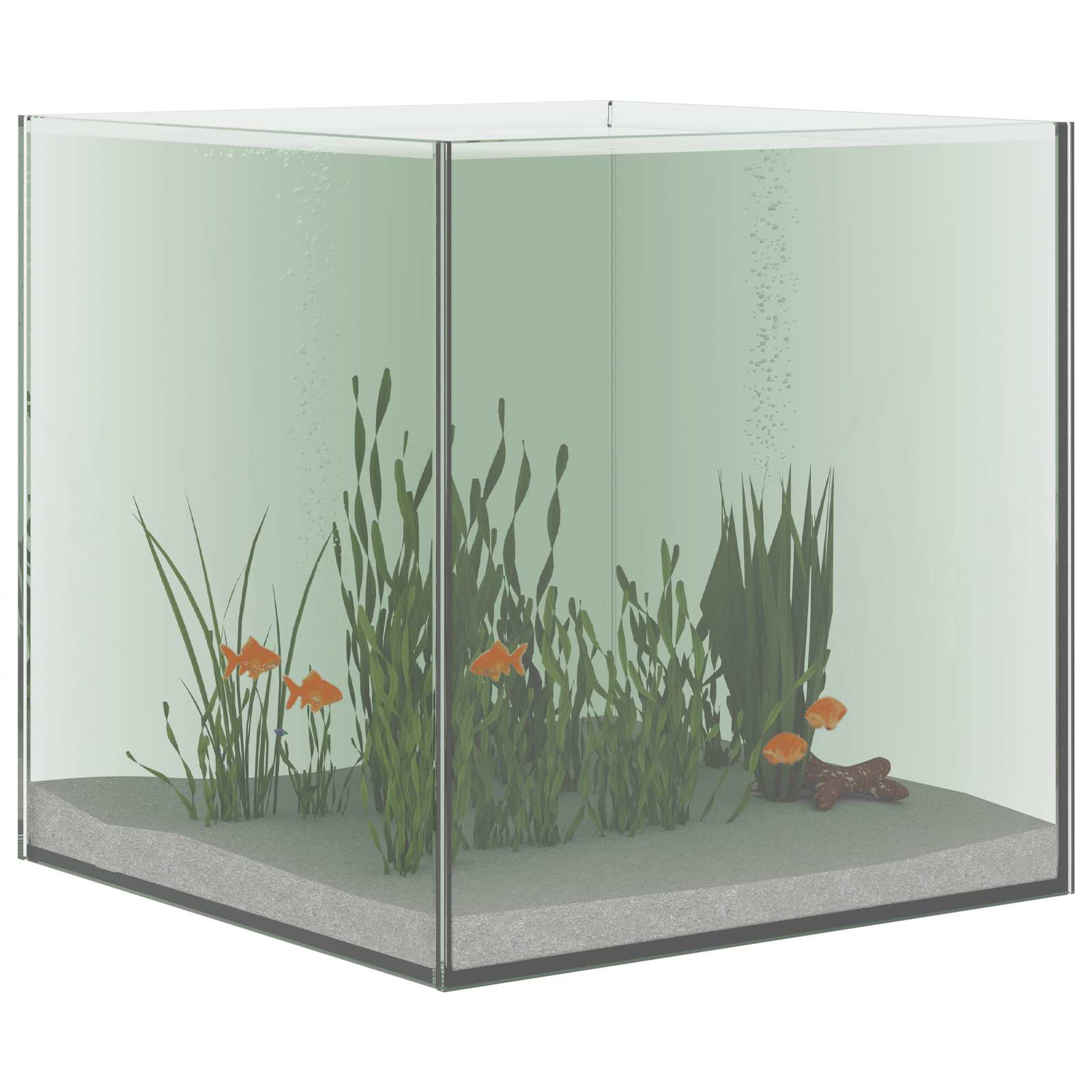 Aquarium mit Speicher Transparent 30 x 20 x 20 cm Glas