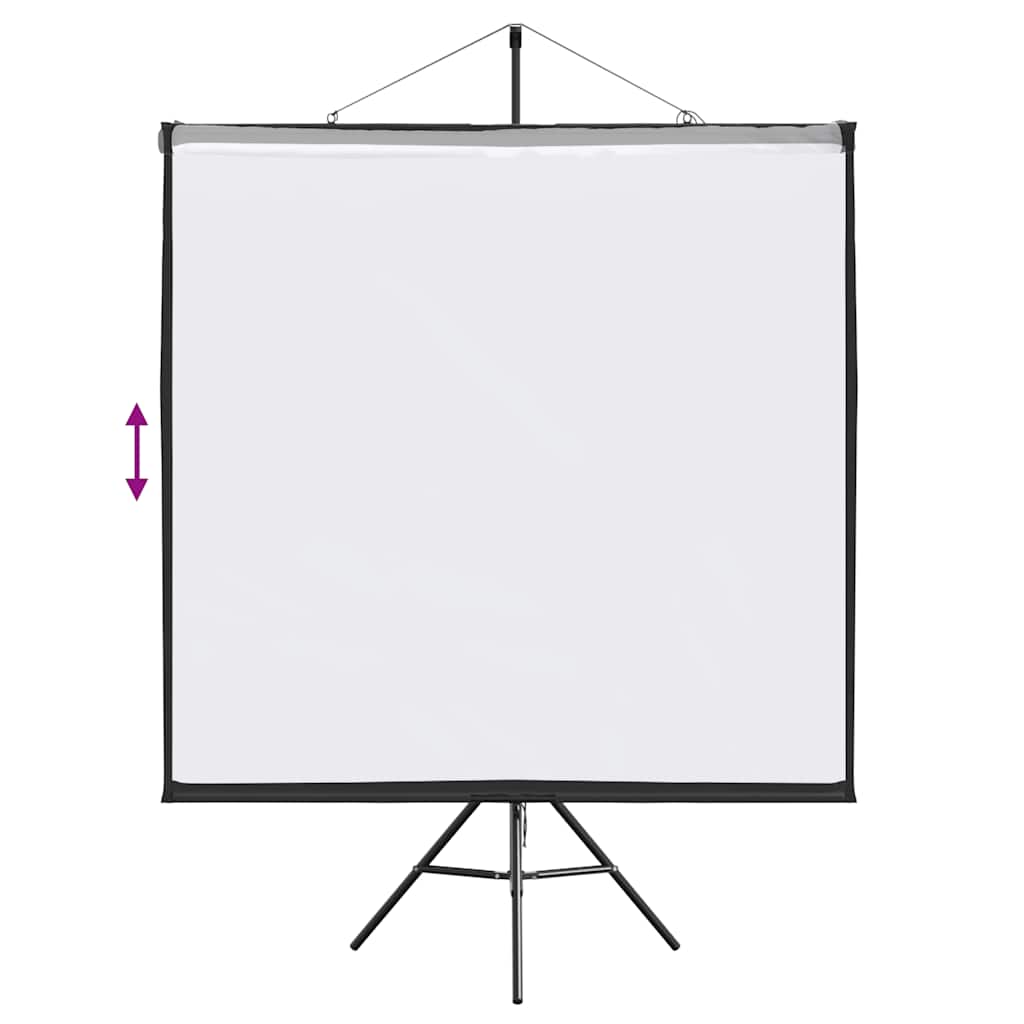 Projektionsleinwand mit Stativ 50 Zoll 4:3
