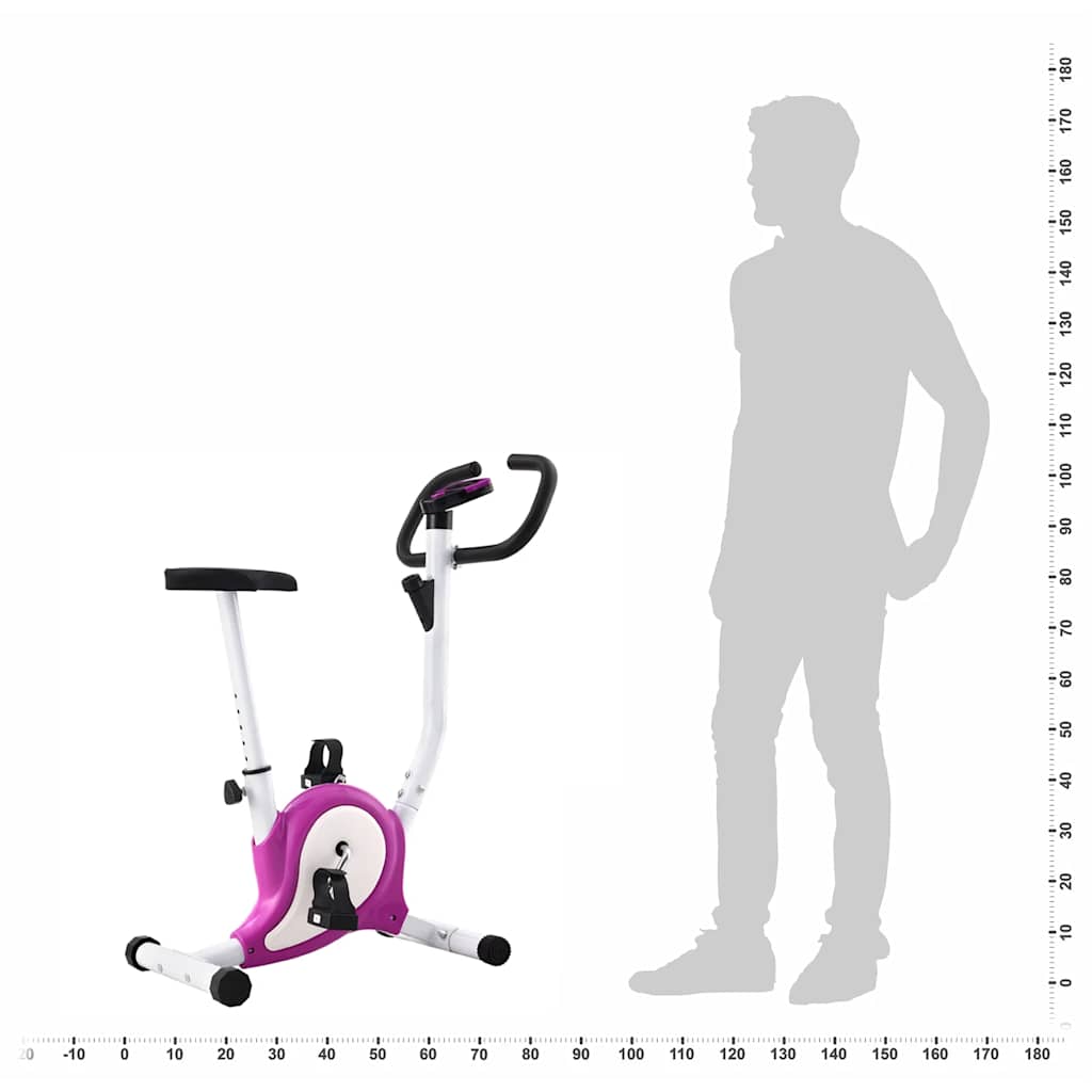 Heimtrainer mit Riemenantrieb Schwarz