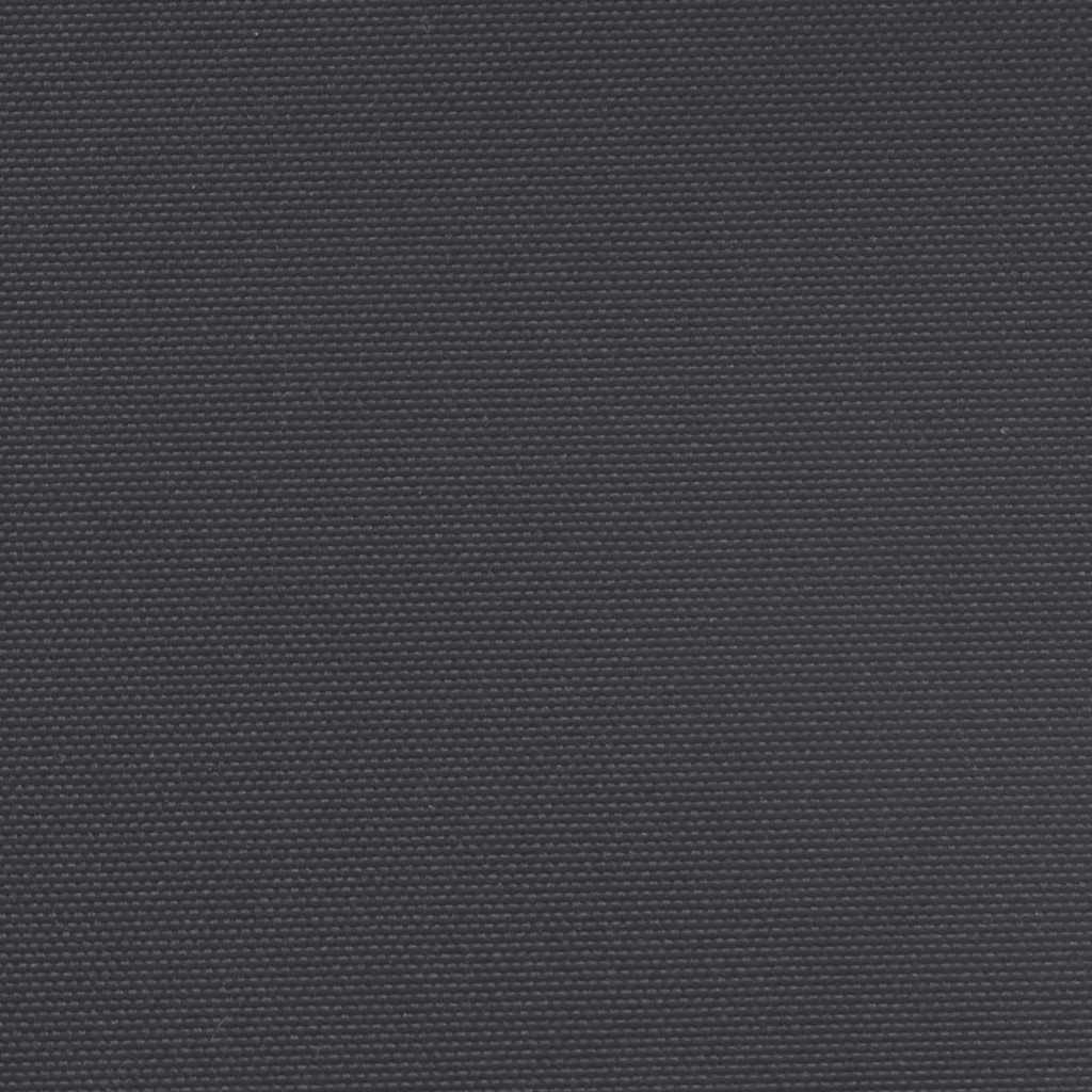 Seitenmarkise Ausziehbar Schwarz 100x300 cm