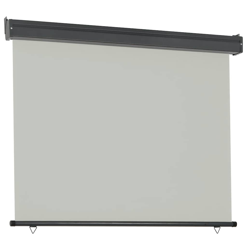 Balkon Seitenmarkise 60 x 250 cm 100% Polyester Eisen Stahl