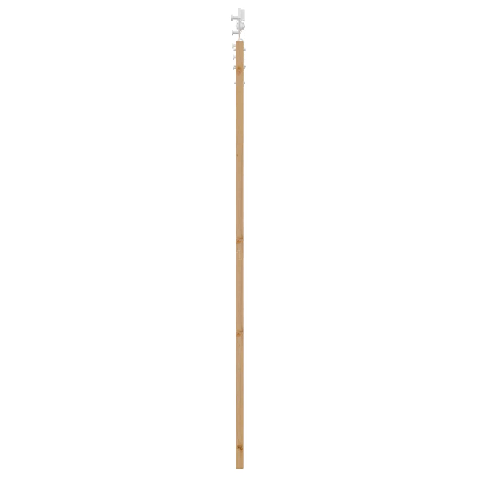 Schiebetür Natürlich und Schwarz 61 x 198,5 cm