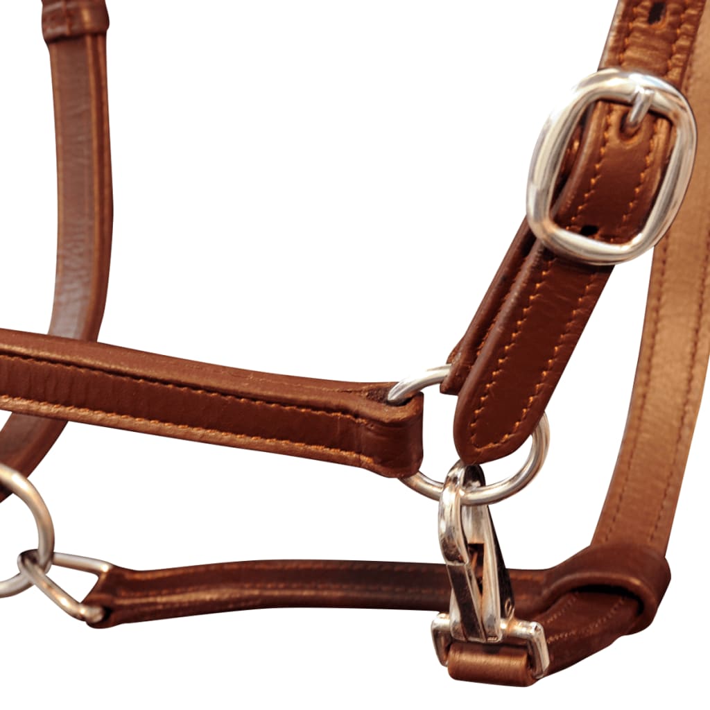 Echtleder Halfter Stallhalfter verstellbar braun Pony