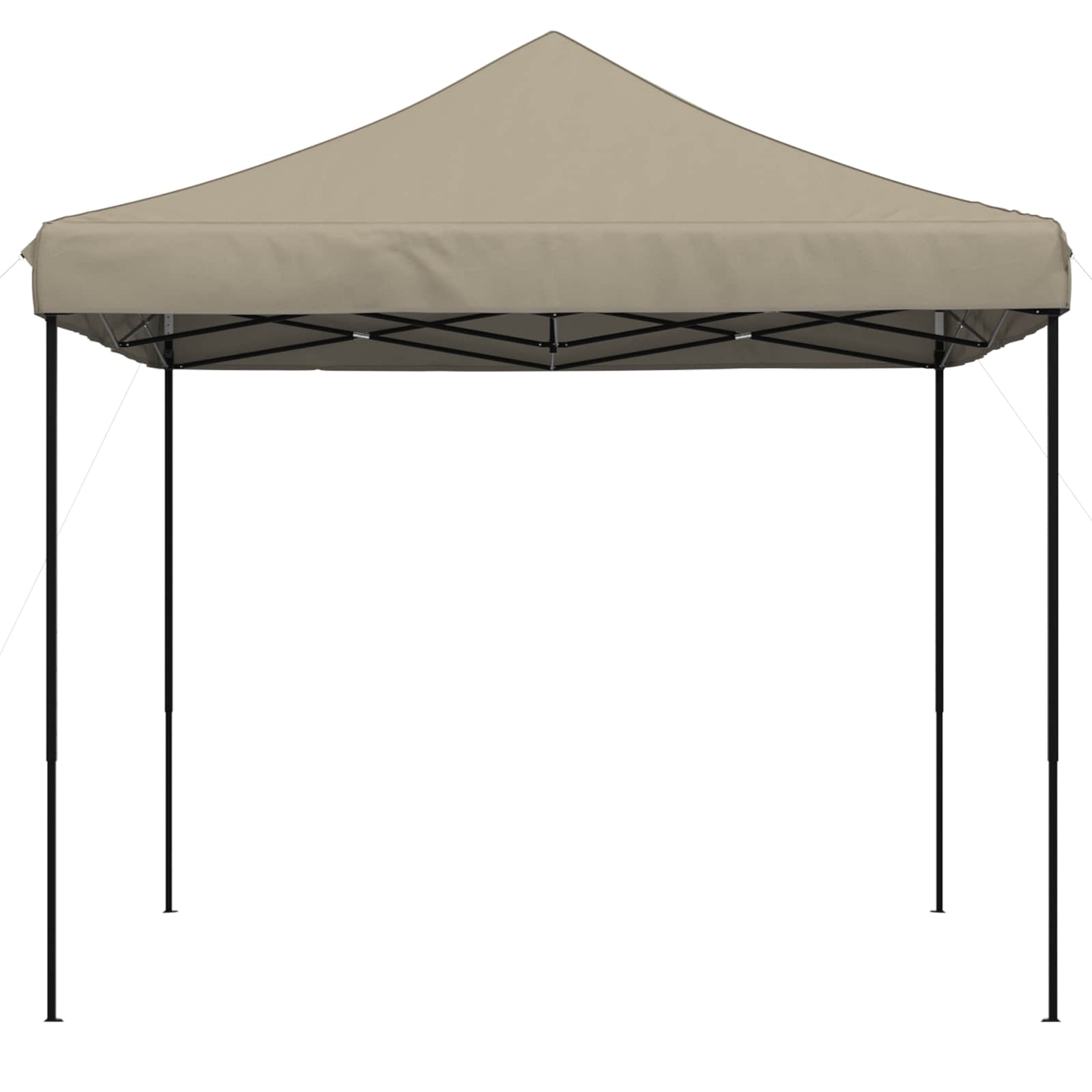 Partyzelt Faltbar Pop-Up Schwarz 292x292x315 cm