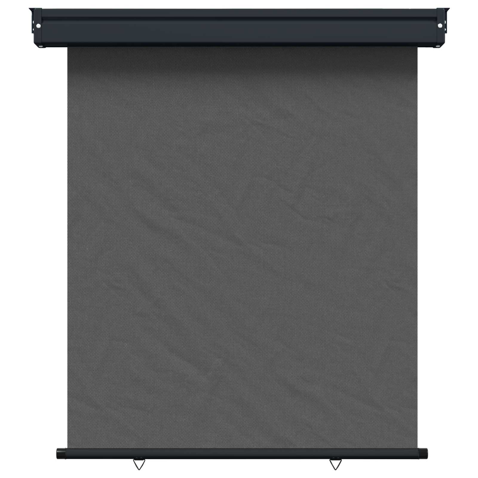 Balkon Seitenmarkise 60 x 250 cm 100% Polyester Eisen Stahl