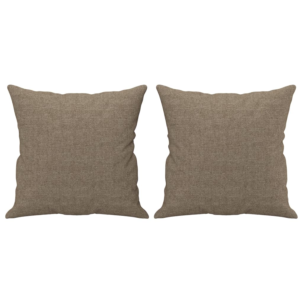 Zierkissen 2 Stk. Hellgrau 40x40 cm Stoff
