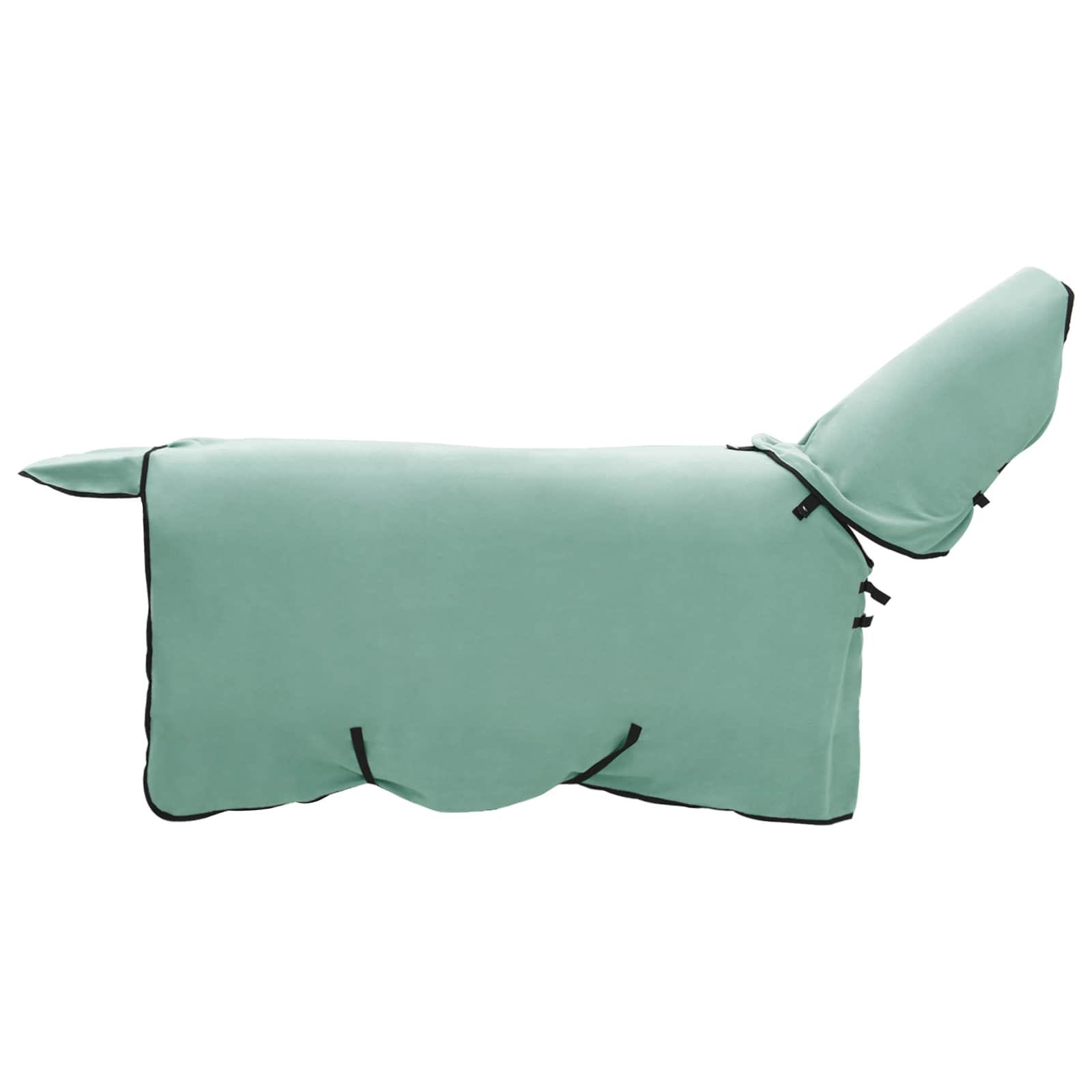 Pferdedecke Volles Aqua 75 cm Polyester