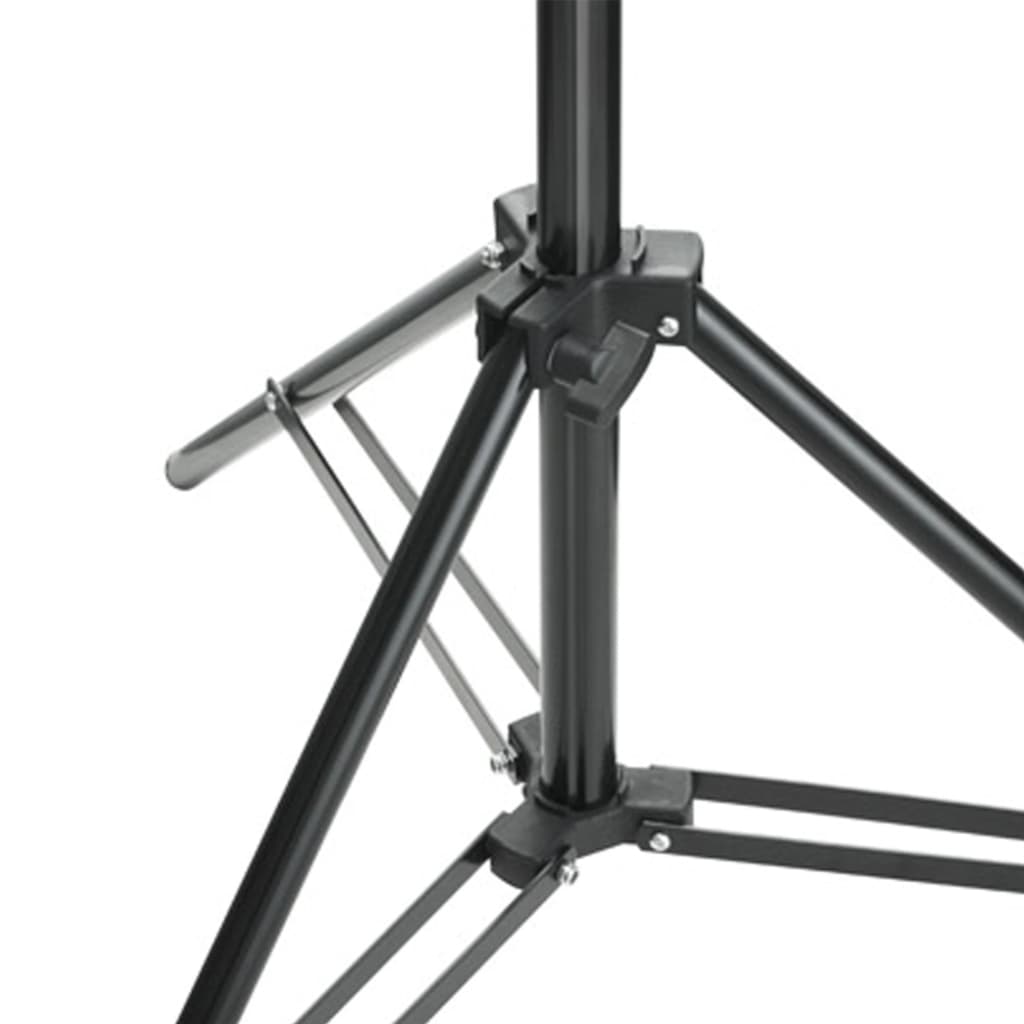 Fotostudio-Set mit Lampen-Set und Hintergrund