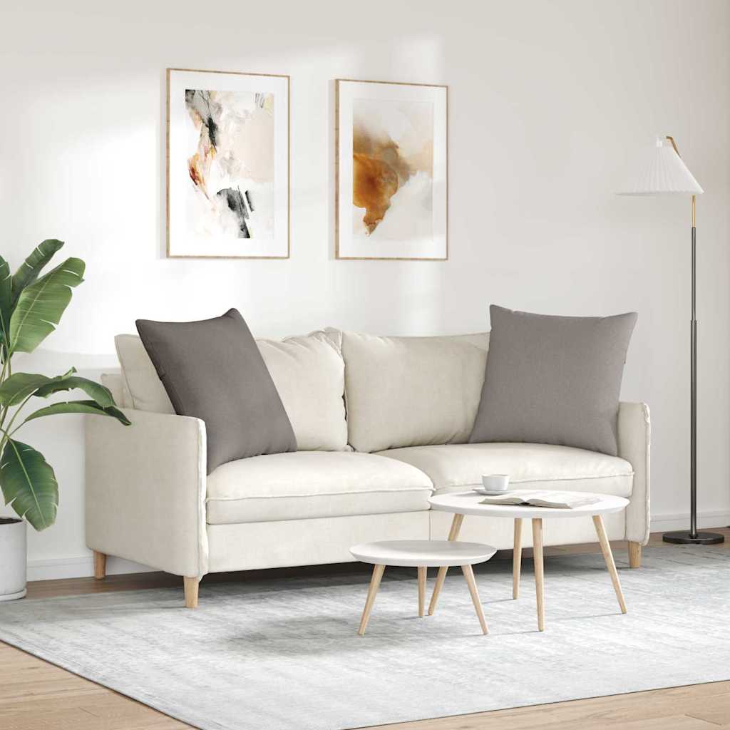 Sofakissen 2 pcs Hellgrau 50 x 30 cm Stoff
