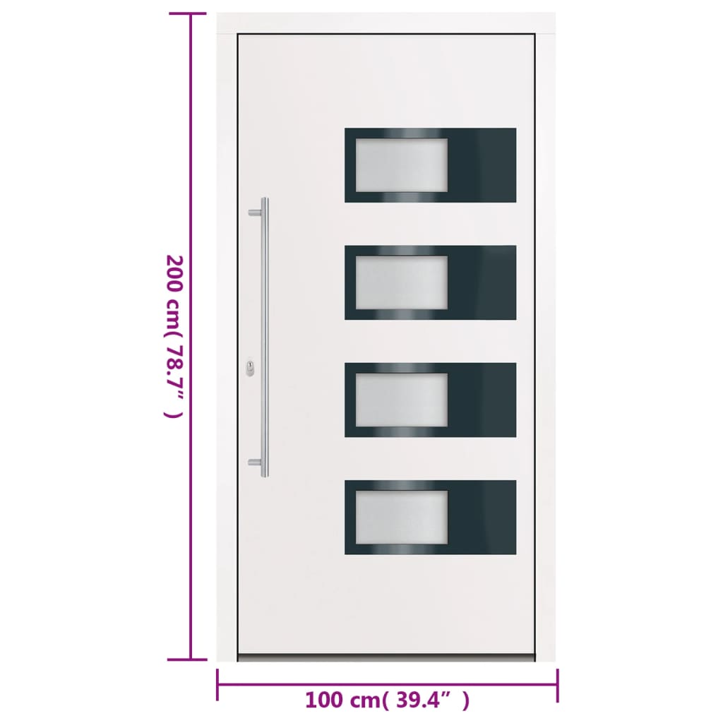 Haustür Anthrazit 100x210 cm Aluminium und PVC
