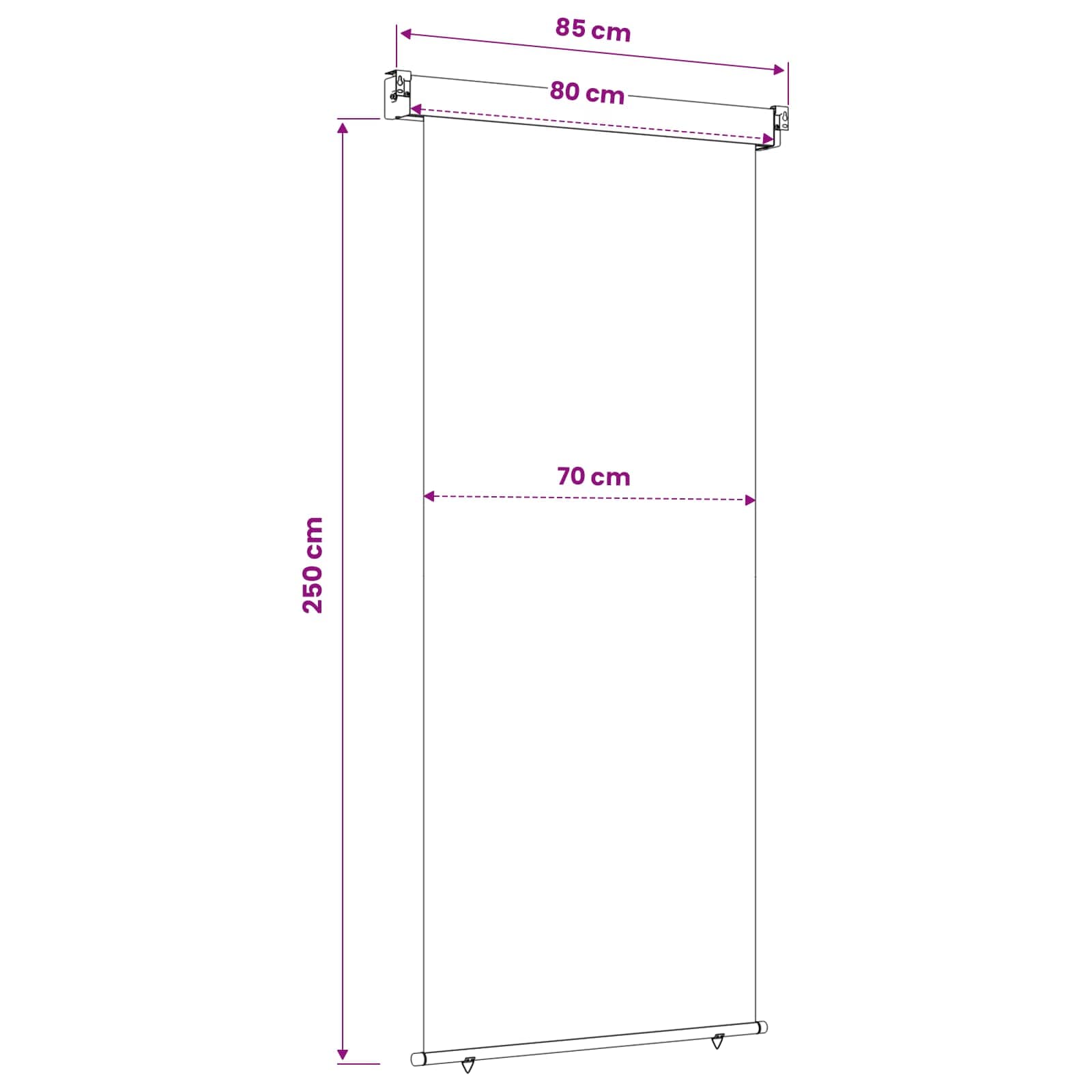 Balkon Seitenmarkise 60 x 250 cm 100% Polyester Eisen Stahl