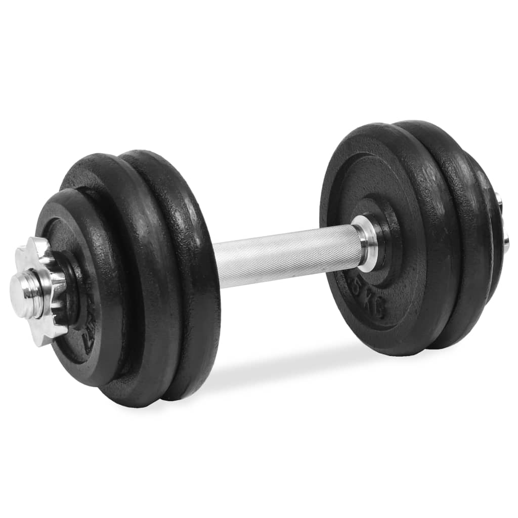 Kurzhantel mit Hantelscheiben 40 kg Gusseisen & Stahl verchromt