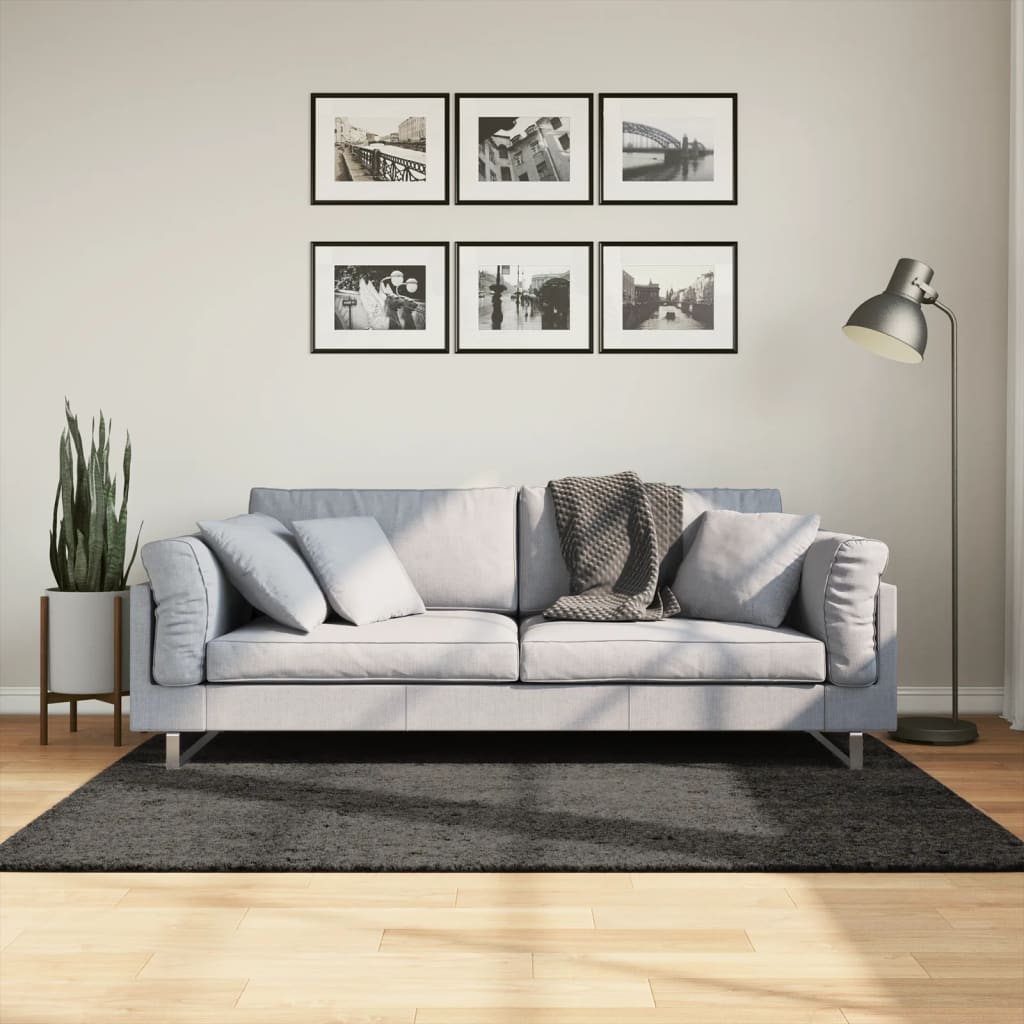 Teppich ISTAN Hochflor Glänzend Anthrazit 100x200 cm