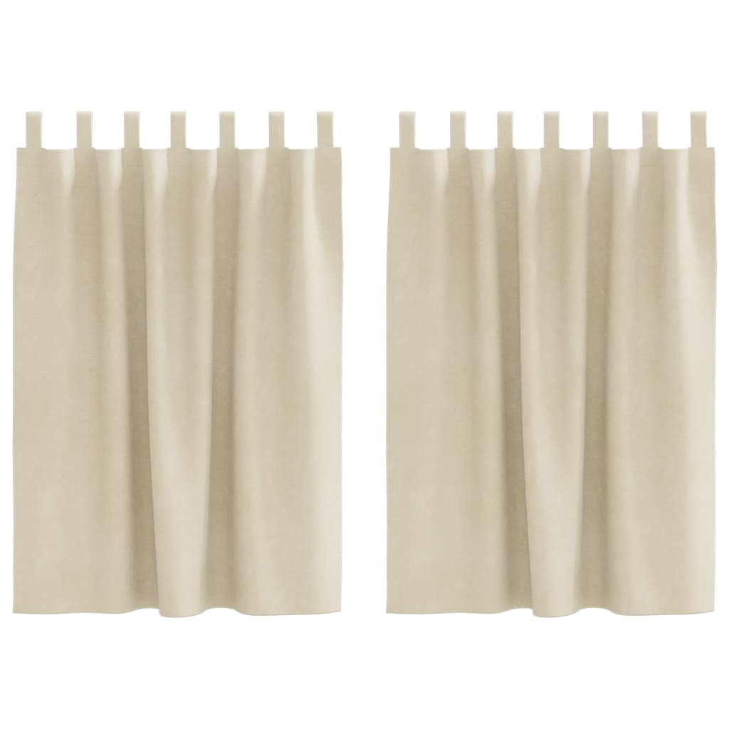 Verdunkelungsvorhänge 2 pcs Schwarz 140 x 140 cm Samt