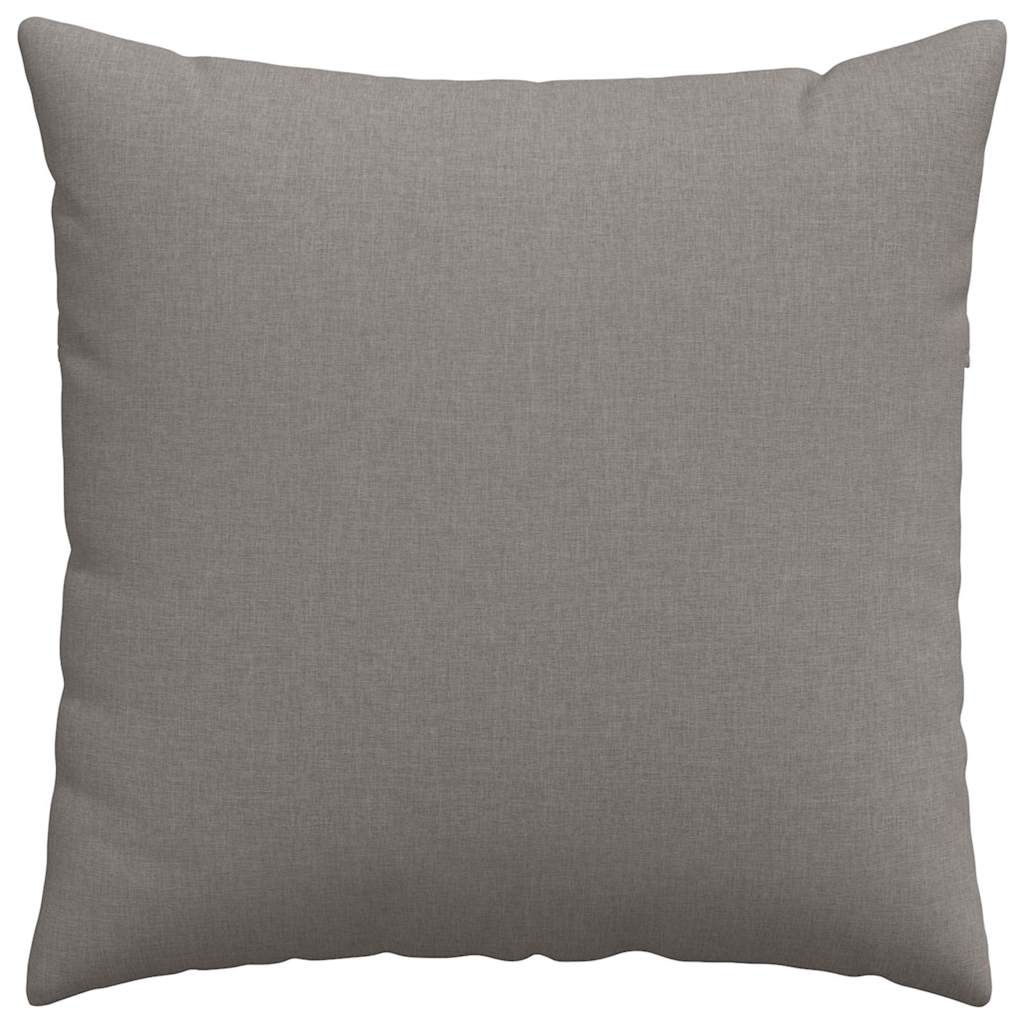 Sofakissen 2 pcs Hellgrau 50 x 30 cm Stoff