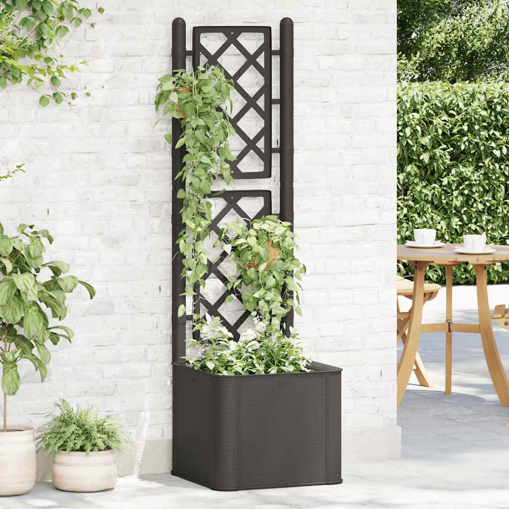Garten-Hochbeet mit Spalier und Selbstbewässerungssystem Mokka