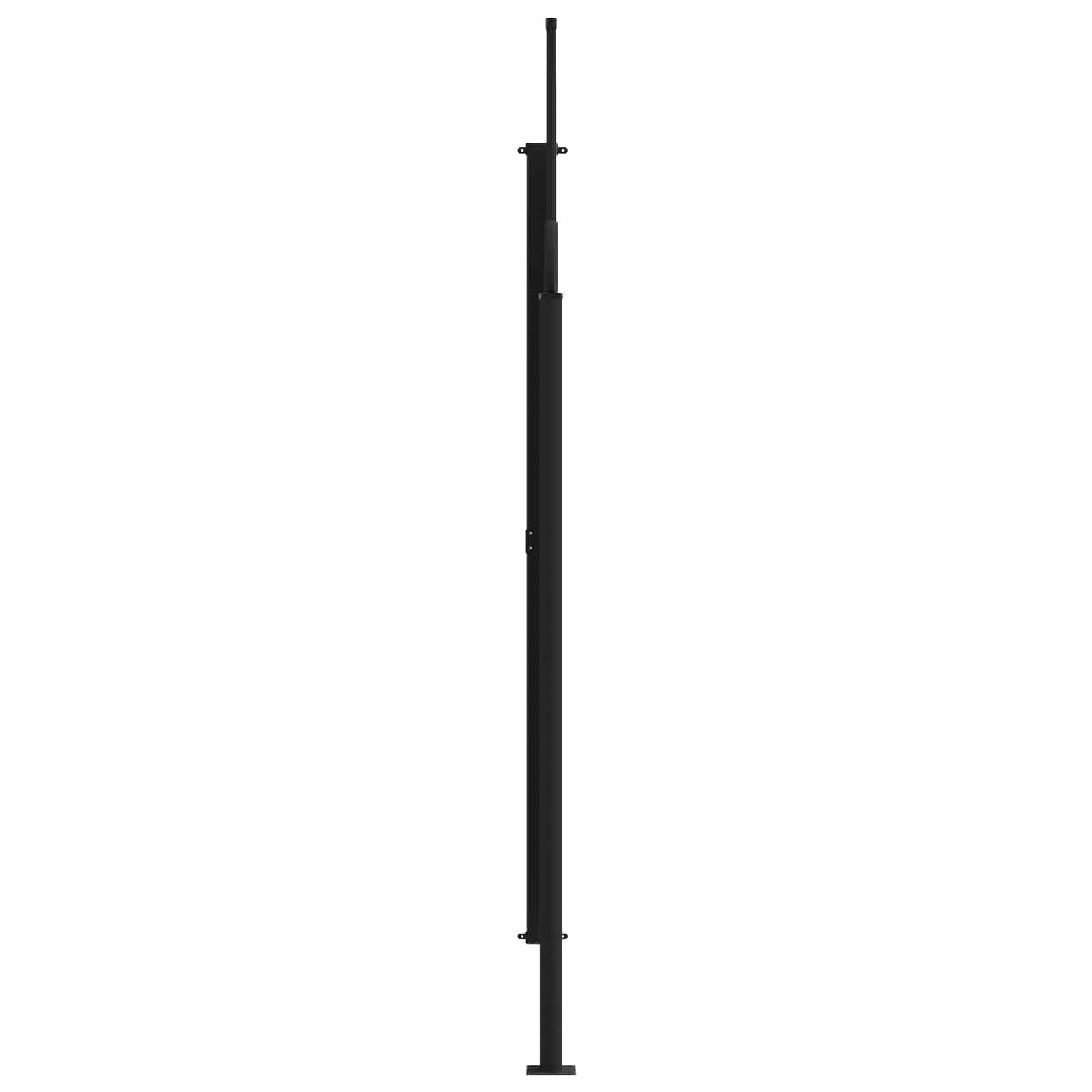 Seitenmarkise Ausziehbar Schwarz 100x300 cm