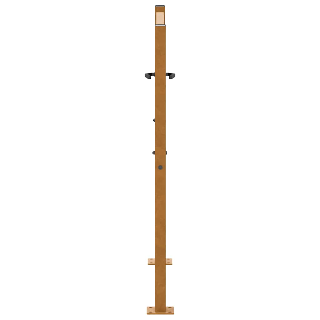 Gartentor Schwarz 100x100 cm Stahl Lichtdesign