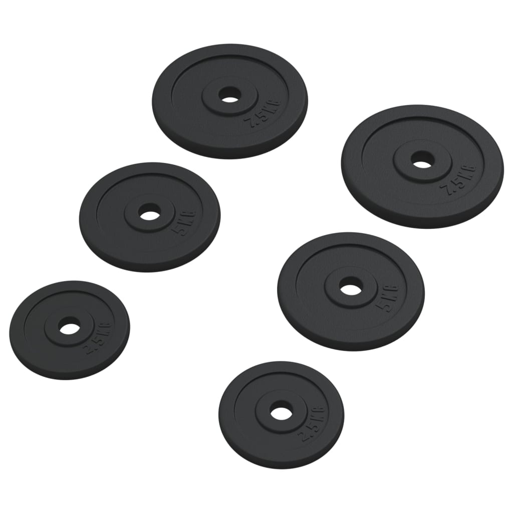 Hantelscheibe 40 kg Gusseisen
