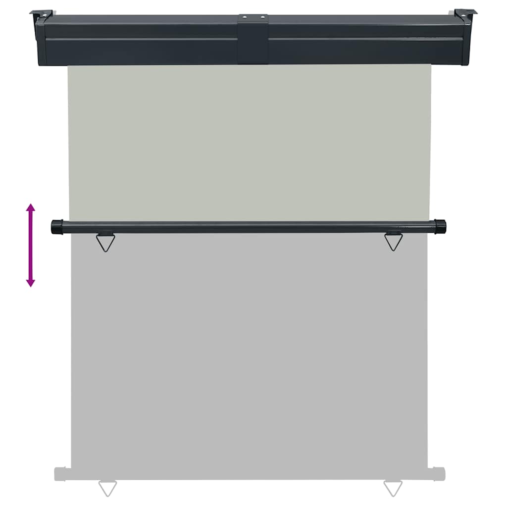 Balkon Seitenmarkise 60 x 250 cm 100% Polyester Eisen Stahl