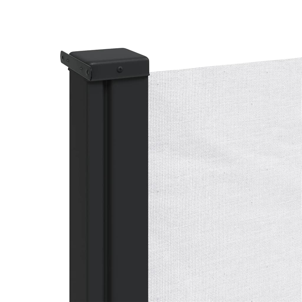 Seitenmarkise Ausziehbar Schwarz 100x300 cm
