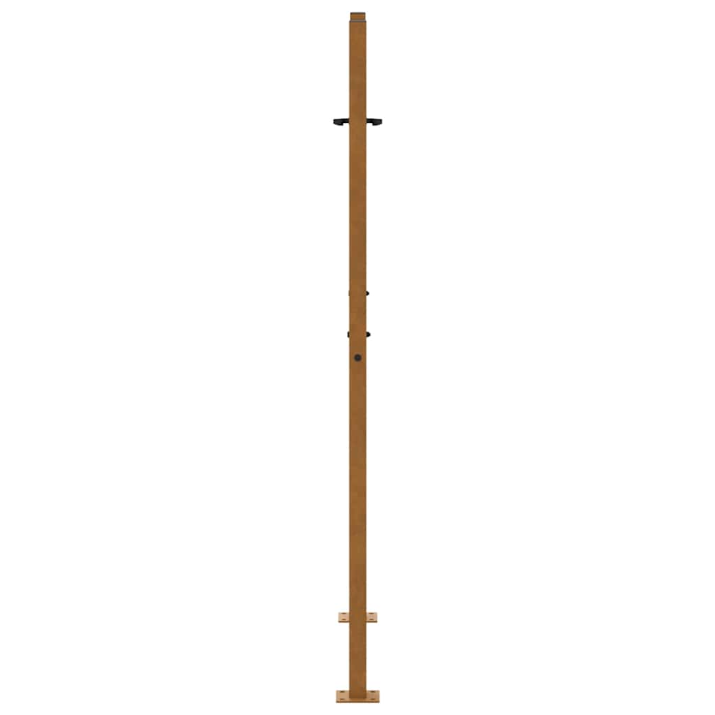 Gartentor Schwarz 100x100 cm Stahl Lichtdesign