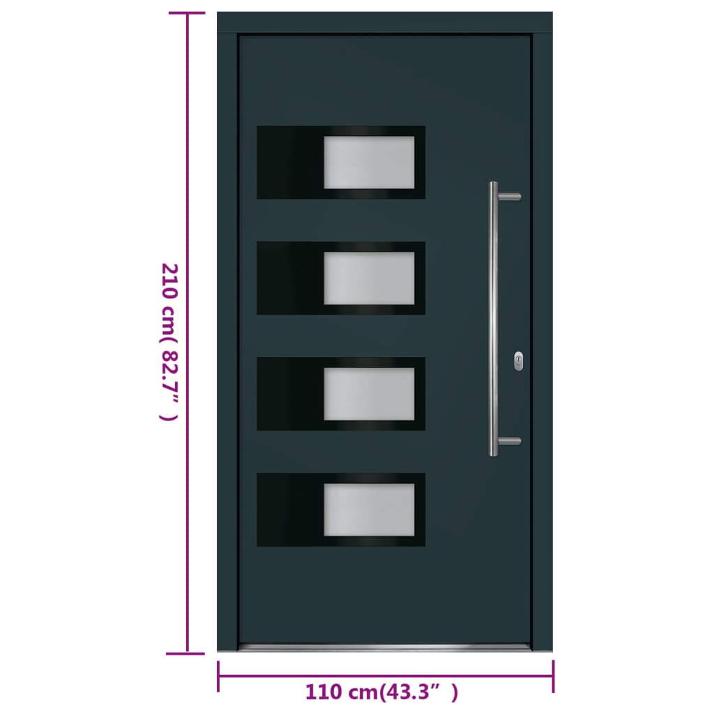 Haustür Anthrazit 100x210 cm Aluminium und PVC