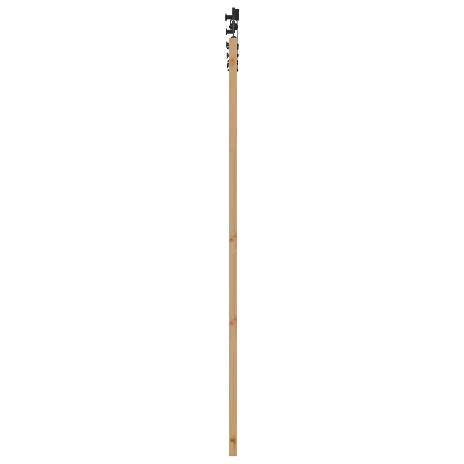 Schiebetür Natürlich und Schwarz 61 x 198,5 cm