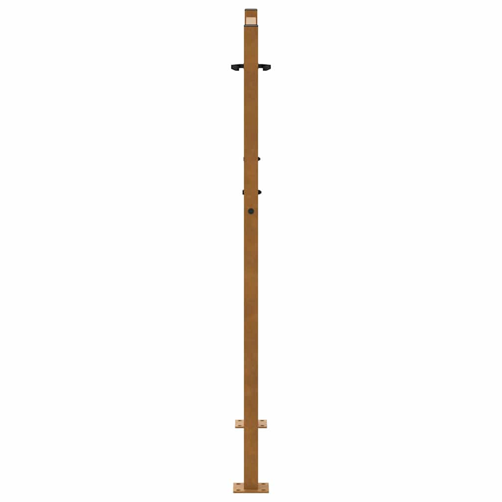 Gartentor Schwarz 100x100 cm Stahl Lichtdesign