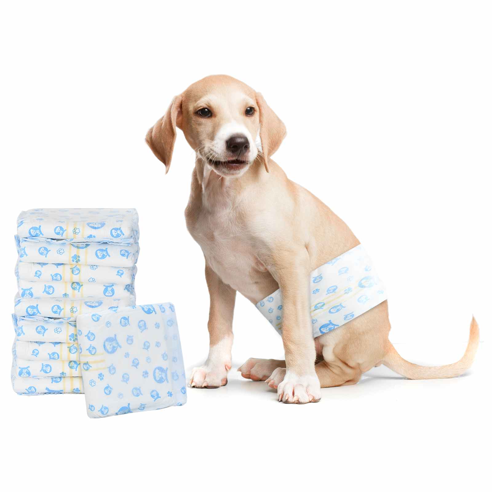 Einweg-Hundewindel für Rüden 30 pcs Weiß XS