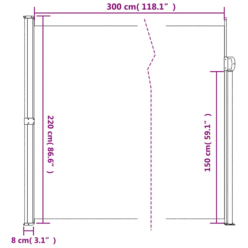 Seitenmarkise Ausziehbar Schwarz 100x300 cm