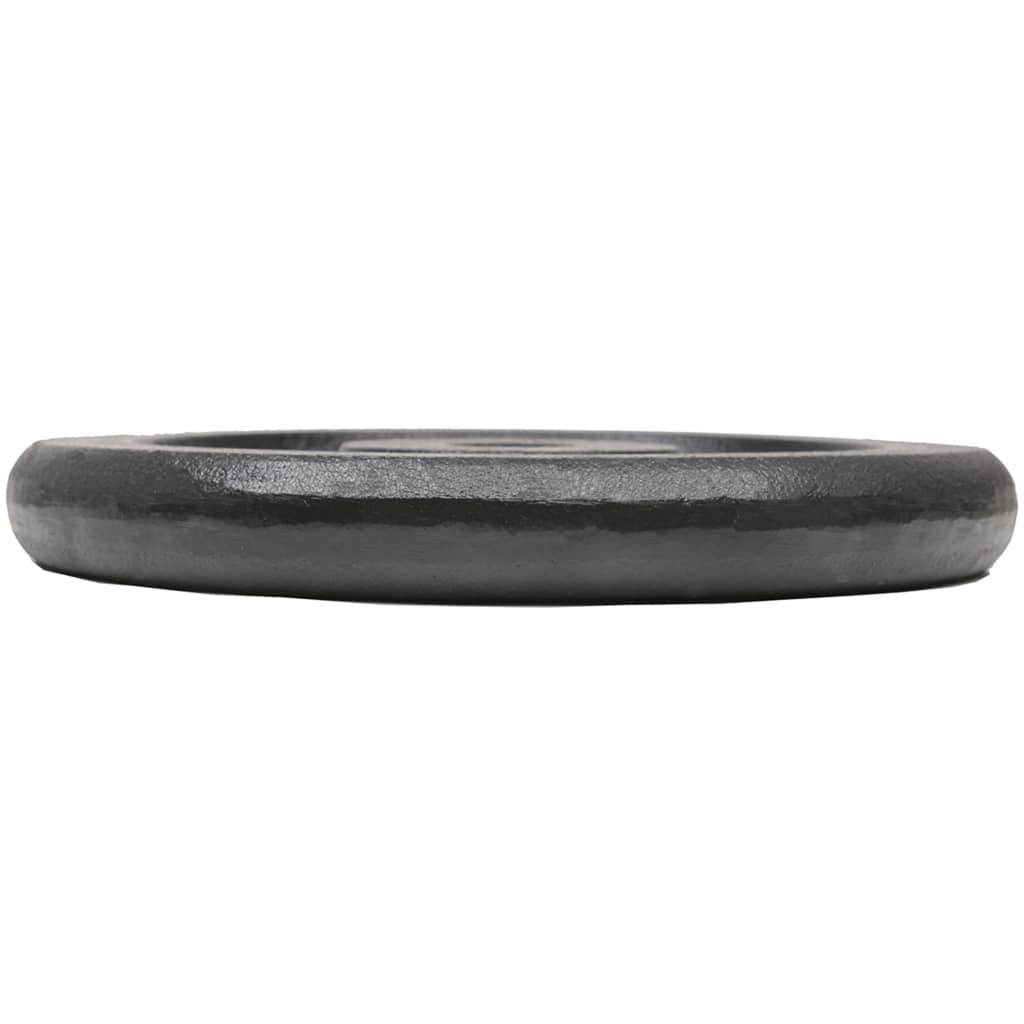 Hantelscheibe 40 kg Gusseisen