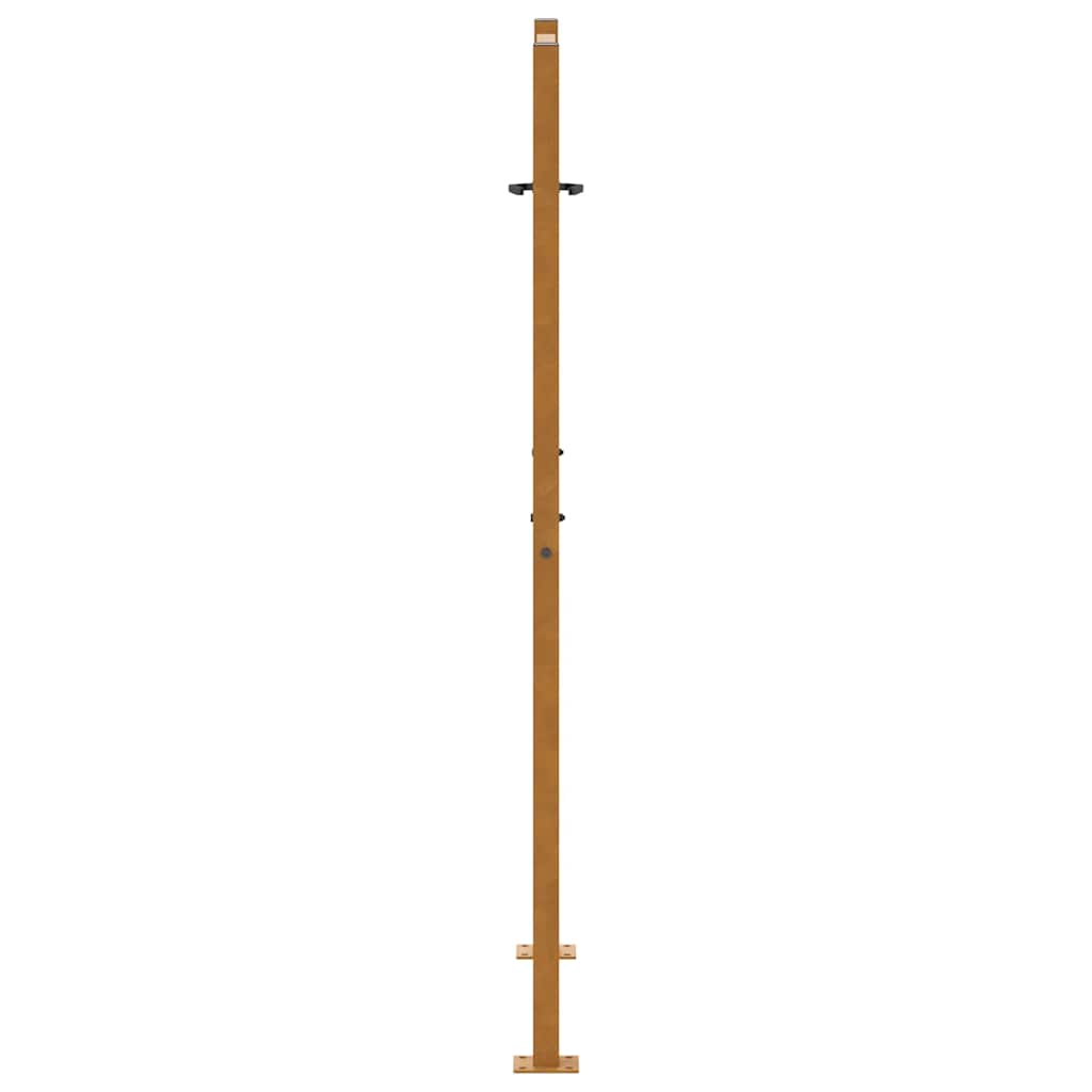 Gartentor Schwarz 100x100 cm Stahl Lichtdesign