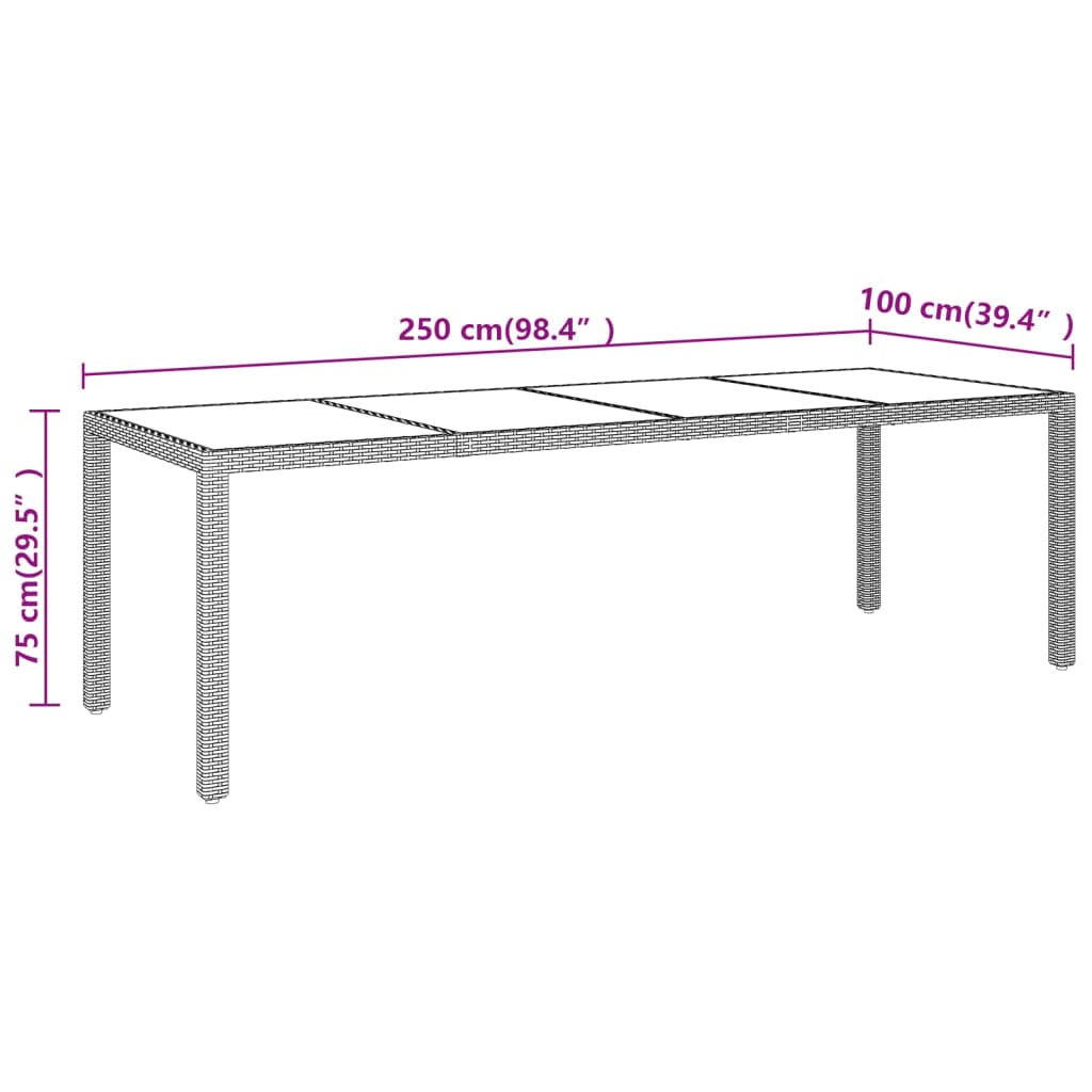 Gartentisch 250x100x75 cm Hartglas und Poly Rattan Schwarz