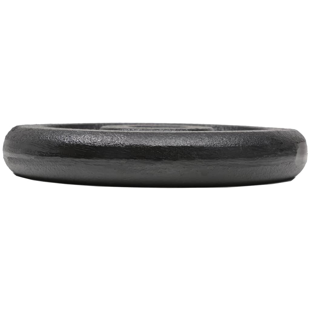 Hantelscheibe 40 kg Gusseisen