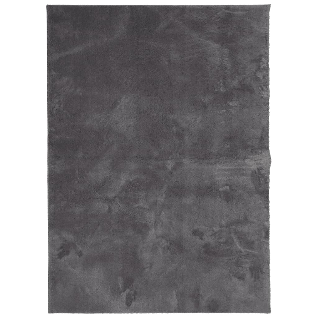 Teppich HUARTE Kurzflor Weich und Waschbar Anthrazit 60x110 cm