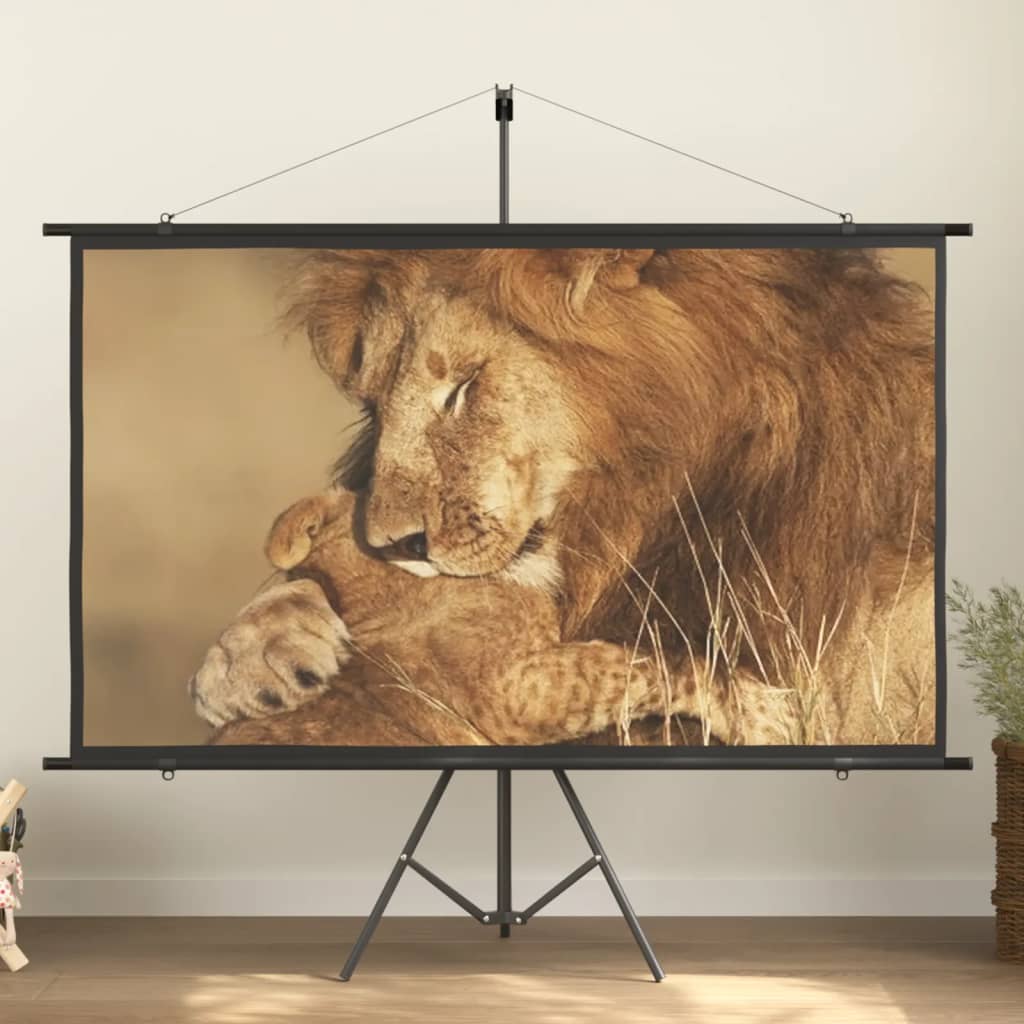Beamer Leinwand 89" 1:1