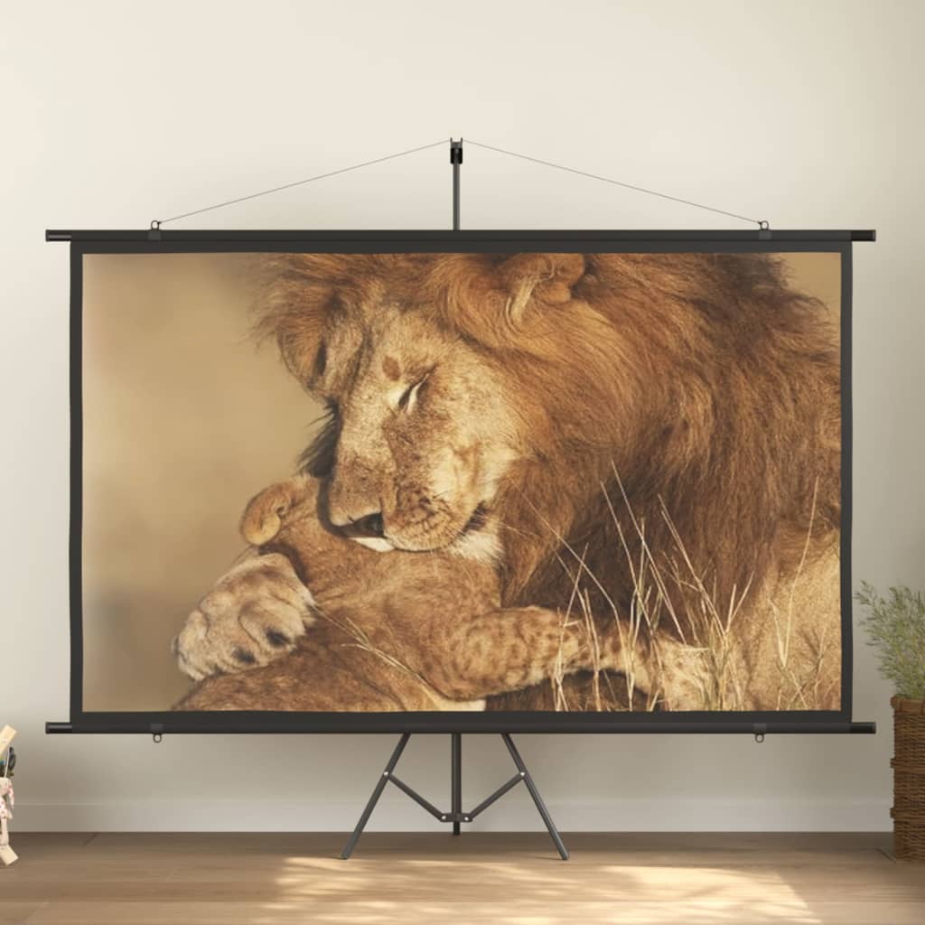 Beamer Leinwand 89" 1:1
