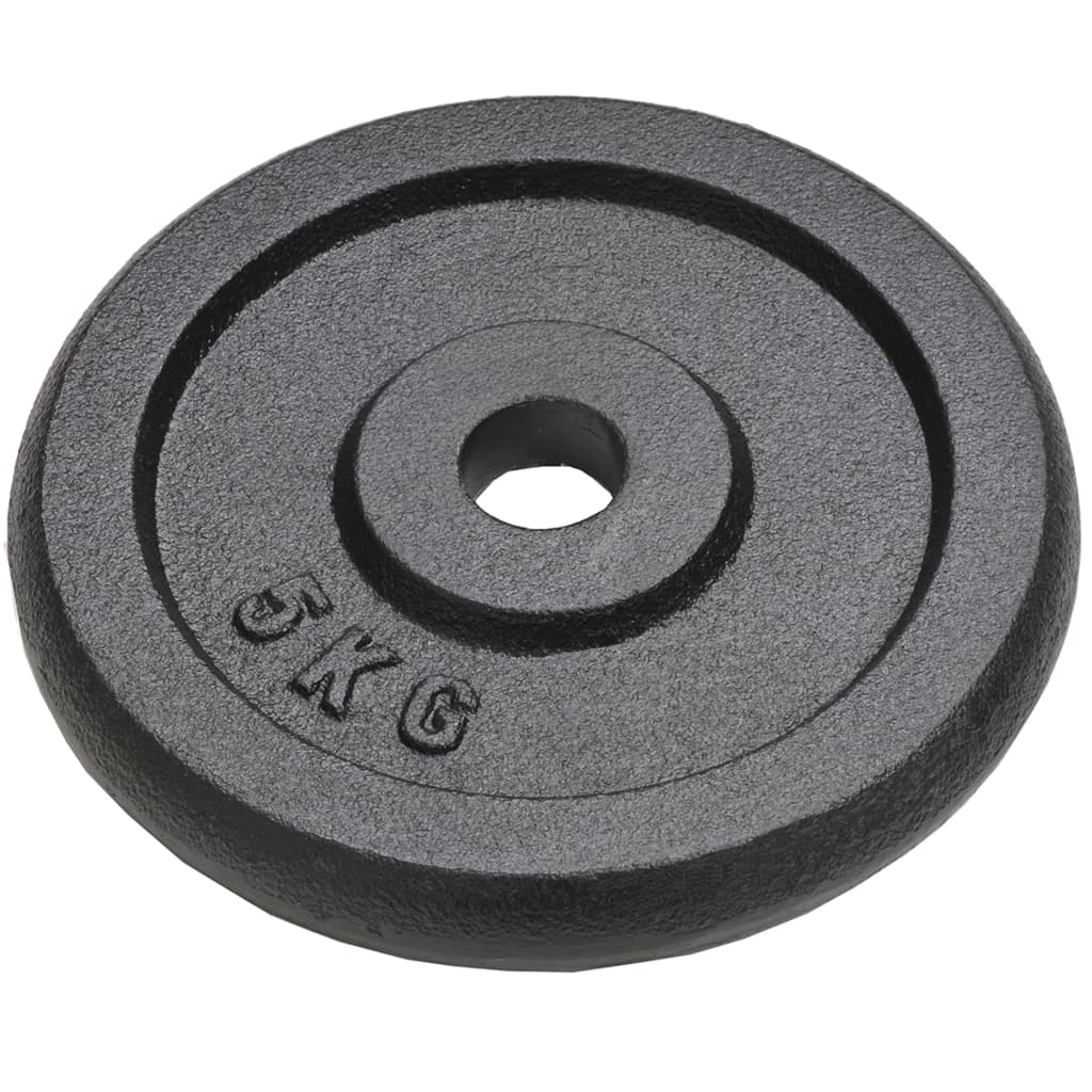 Hantelscheibe 40 kg Gusseisen