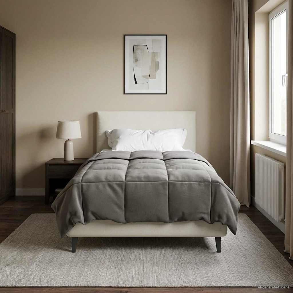 Winterbettdecke Gepolstert Anthrazit 240 x 260 cm Mikrofaser