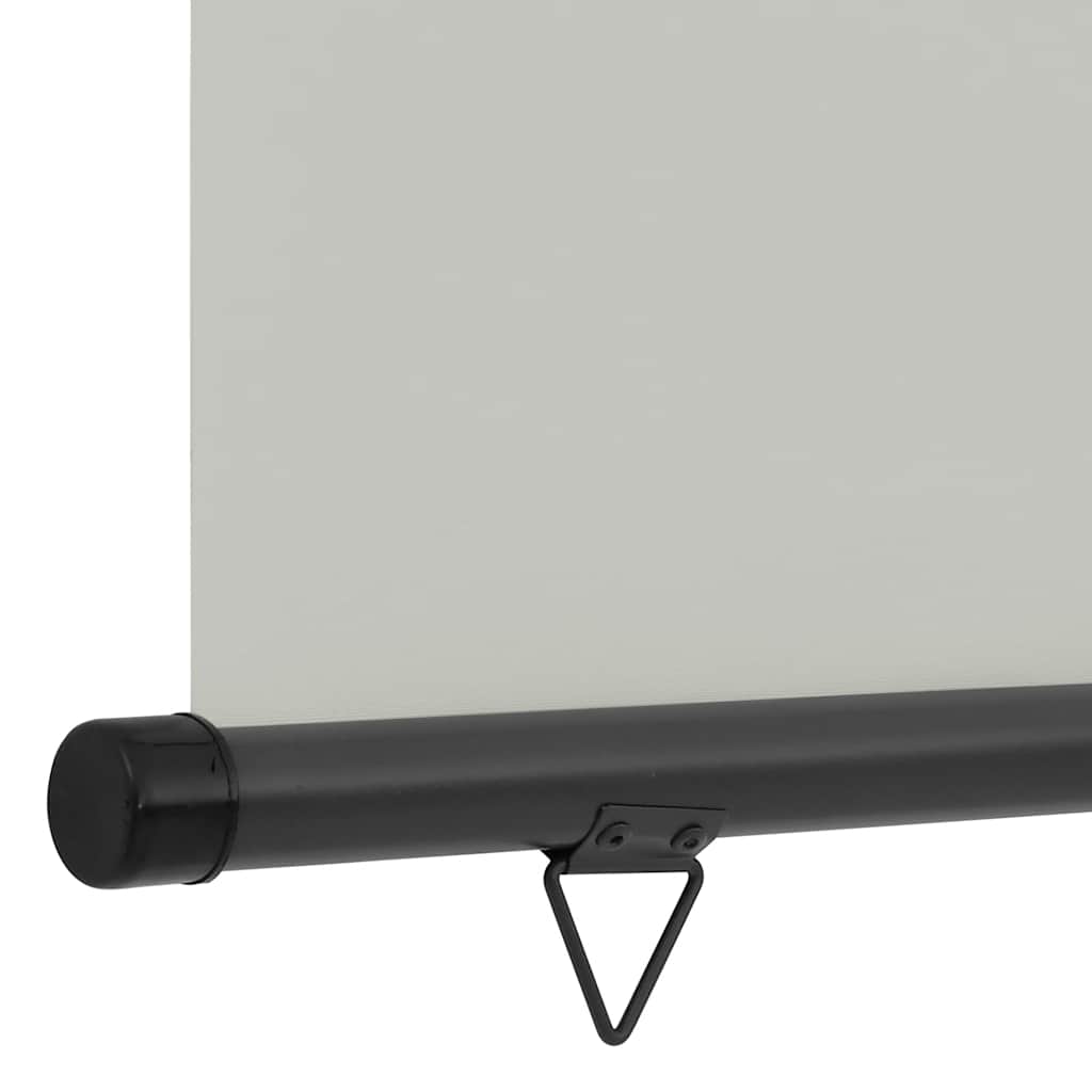 Balkon Seitenmarkise 60 x 250 cm 100% Polyester Eisen Stahl