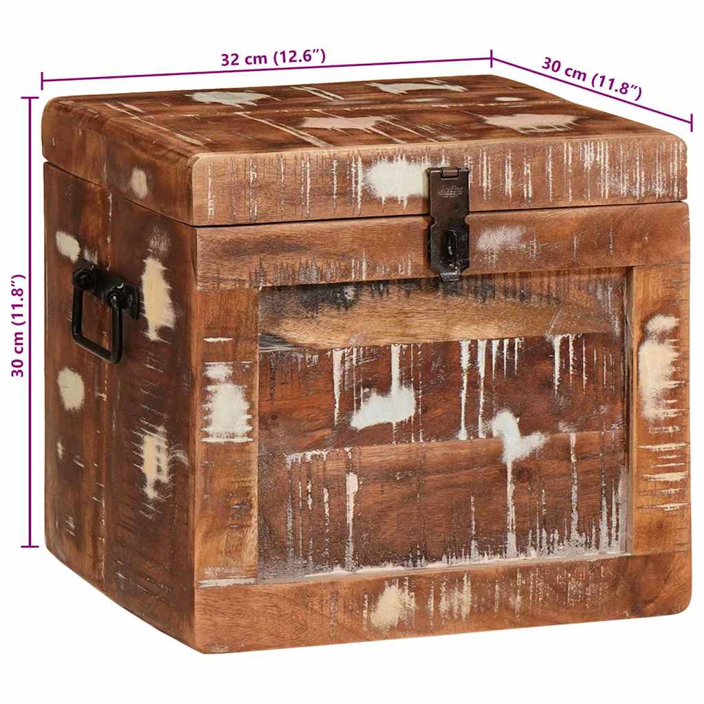 Aufbewahrungsbox mit Speicher mit Tür Braun Massivholz Mango