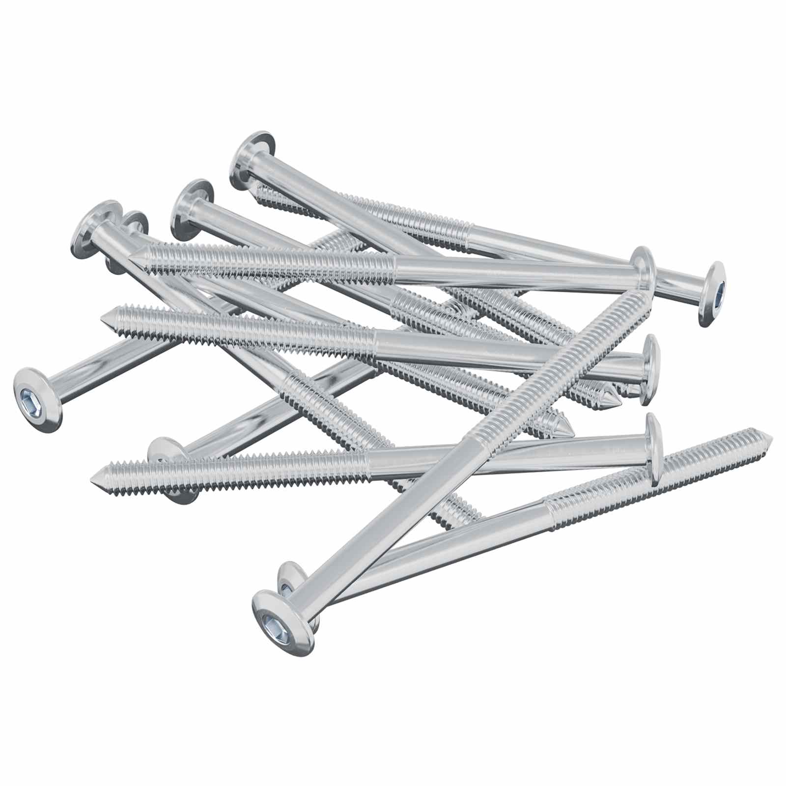Schraube 2 pcs Silber M6 x 50 mm Stahl